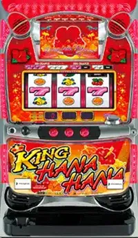 「キングハナハナ-30」の筐体画像