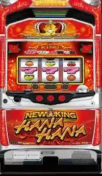 「ニューキングハナハナ-30」の筐体画像