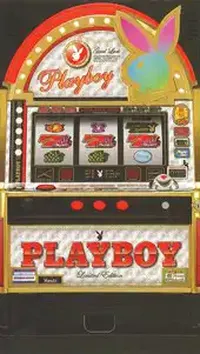 「プレイボーイ Limited Edition」の筐体画像