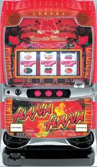 「スペシャルハナハナ-30」の筐体画像